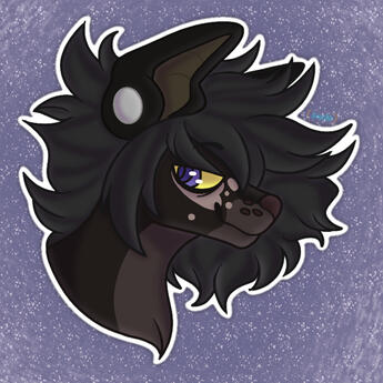 shaded headshot